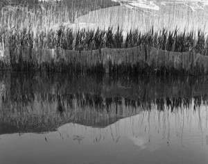 Photography by Mike rees