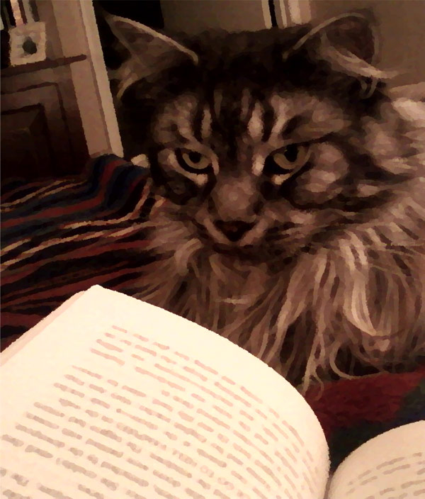 RussKim_Bookcat-600px