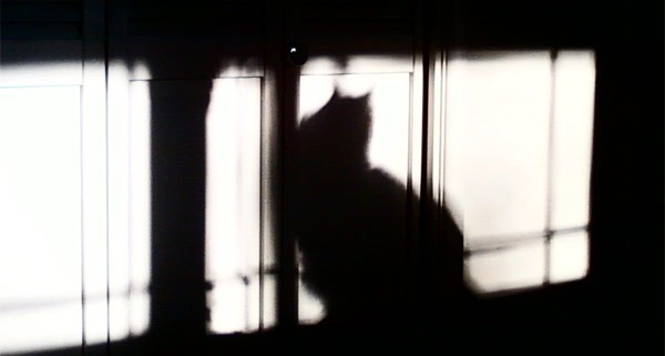 RussKim_Shadowcat-600px