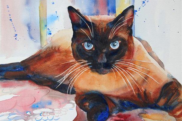 boudreau_siamese_600px