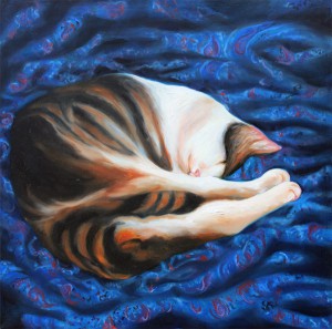 Cat on Blue Silk