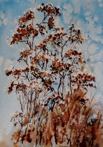 Susan Supola - Weeds in Winter