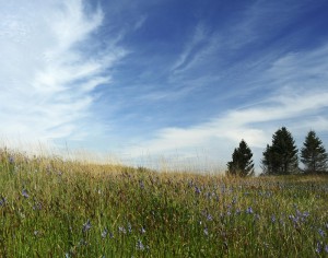Madeline Houston: Glacial Heritage