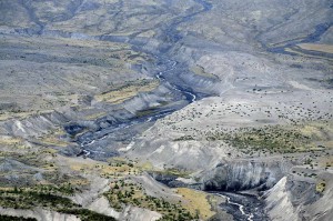 Madeline Houston: Mount St. Helens Toutle River