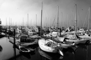 Madeline Houston: Olympia, Washington Waterfront