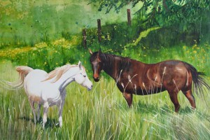 horses in a field
