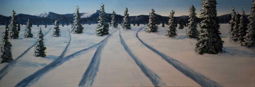 Snow Bugs
