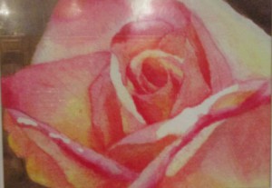 painting of a rose
