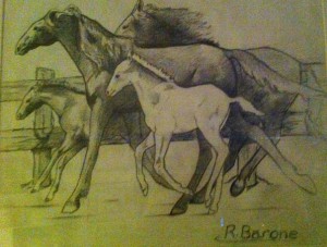Horses running
