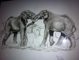 Elephants battling