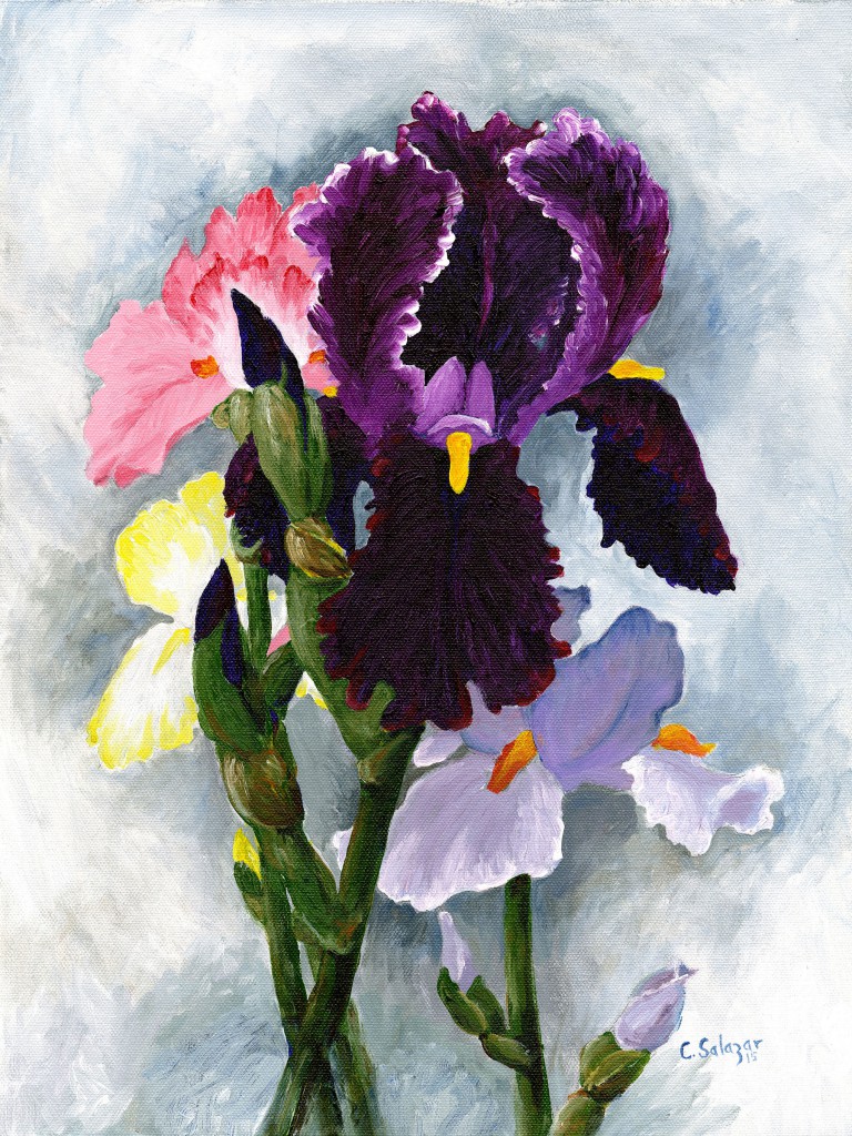 3 pink-violet irises