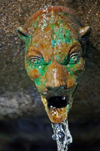 gargoyle with water spouting out of mouth