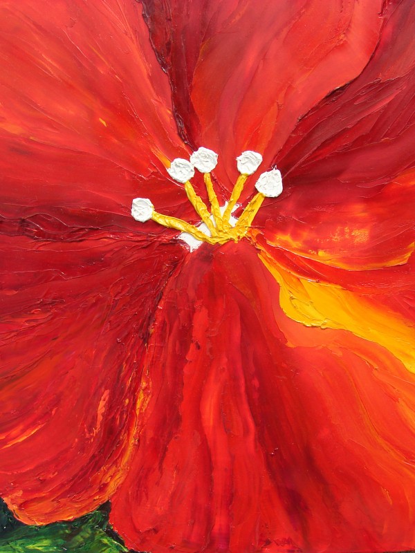 close-up of a hibiscus