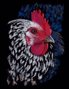rock rooster head