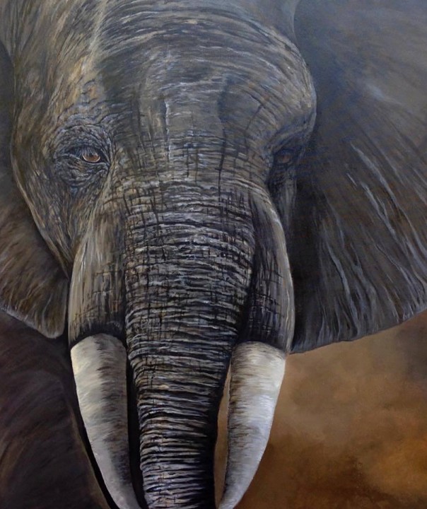 close-up of an elephant