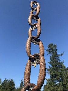 owls in vertical chain