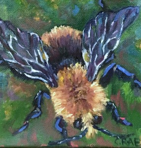 Magnified view of Bee