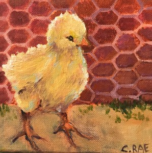baby chick