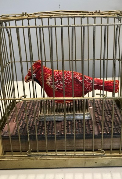 red bird mounted inside a cage