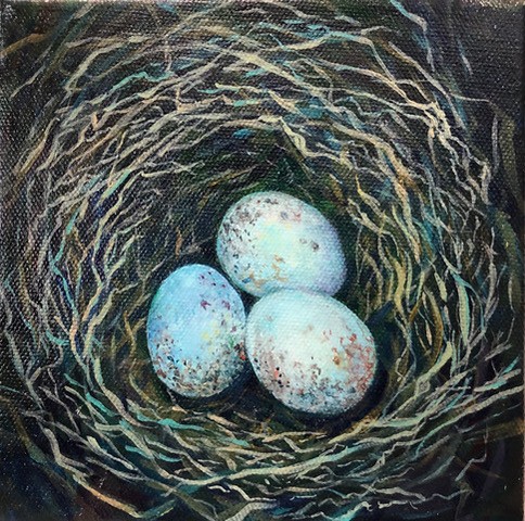three eggs in a bird nest