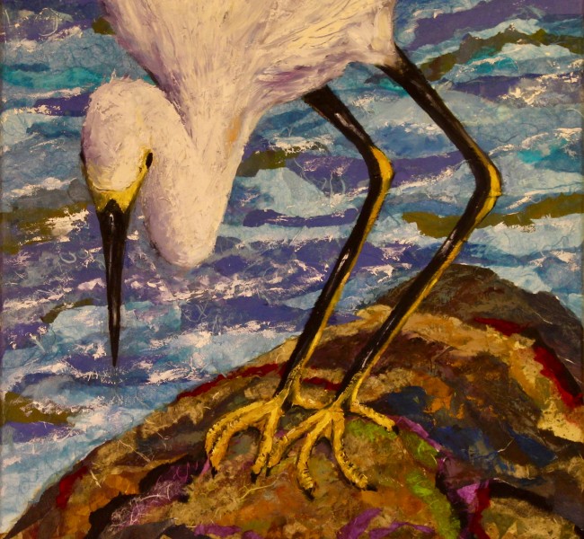 egret on a rock