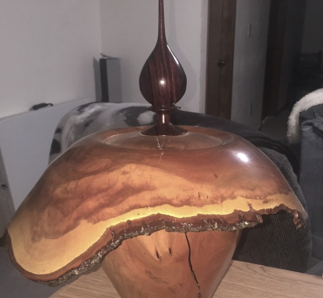 large natural burl with a tapered spire