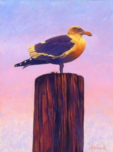 seagull atop a piling