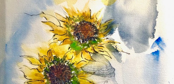 three sunflowers on a gray background