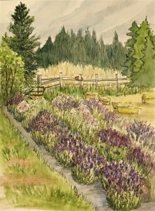 lavender, baled hay, woods