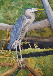 blue heron on edge of water