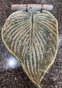 leaf on driftwood