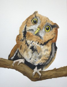 cute owl on a branch